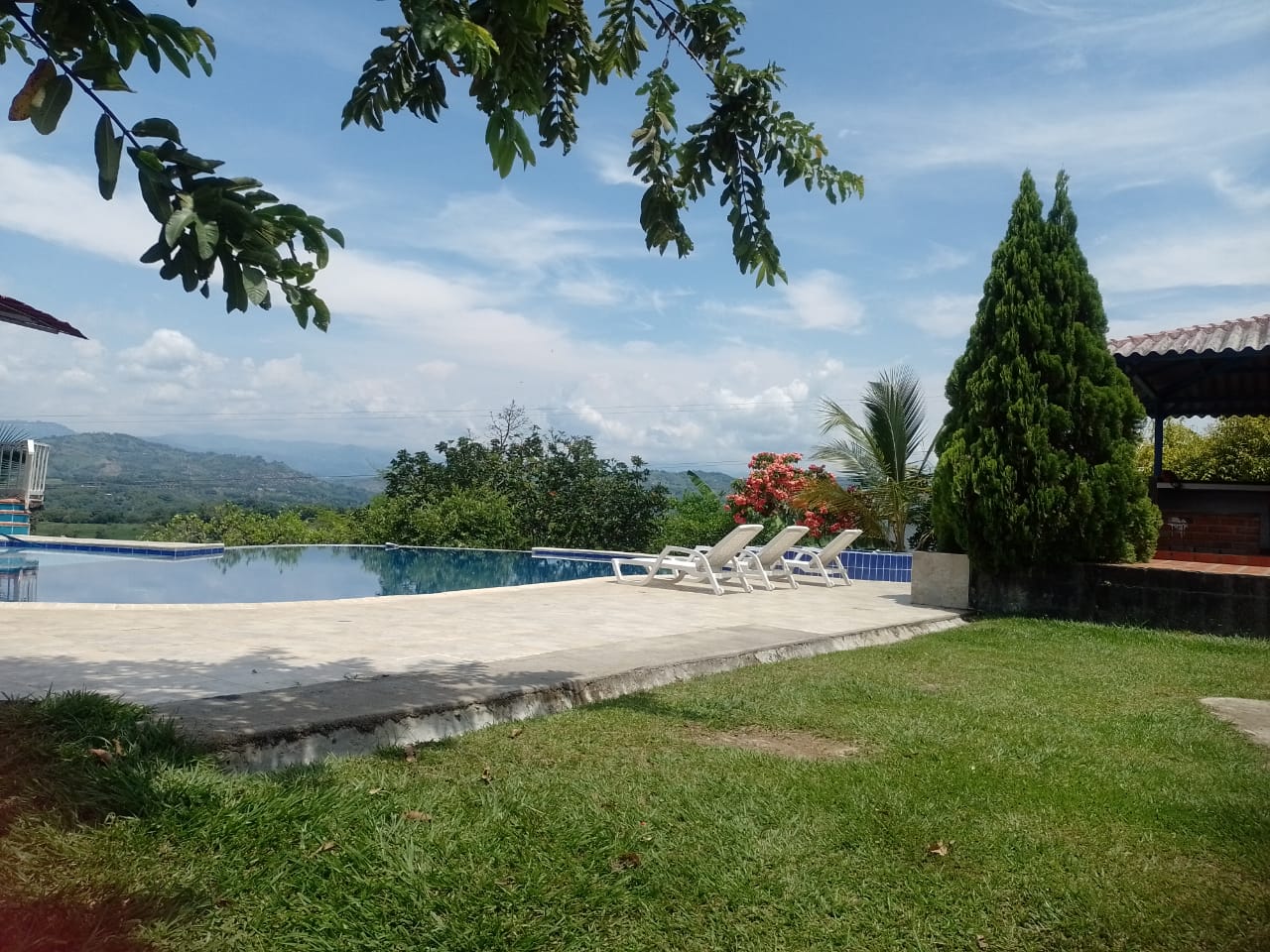 Pool and green areas